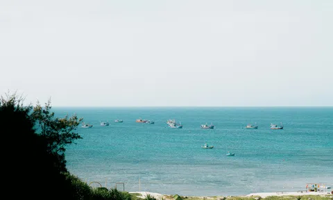 Công nghệ xanh cho đại dương bền vững