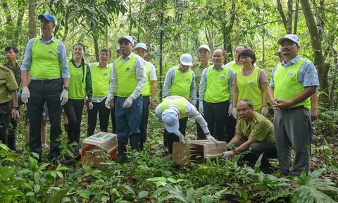 Sống hài hòa với thiên nhiên và phát triển bền vững