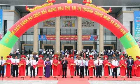 Tăng tốc tiêu thụ nông sản chủ lực, khẳng định vị thế vải thiều Bắc Giang