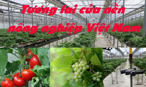 Vinh danh 10 doanh nghiệp ngành Nông nghiệp tiên phong đổi mới sáng tạo