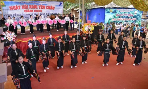 Từ bóng cây cổ thụ đến hương vị xoài - Hành trình đánh thức di sản ở Yên Châu