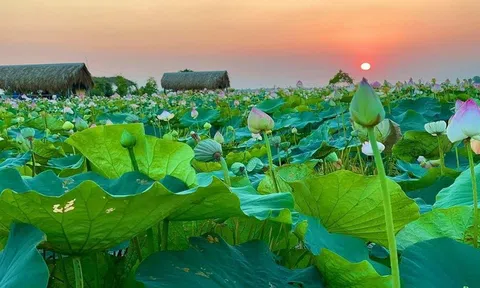 Dấu ấn nông thôn mới từ Ninh Bình đến Đồng Tháp