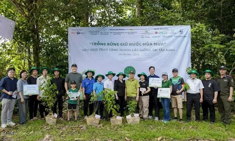 Trồng rừng giữ nước mùa mưa – Hành động để "tái sinh" rừng