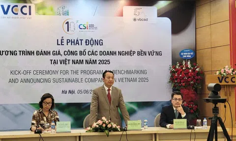 Ban hành bộ chỉ số CSI dành riêng cho doanh nghiệp nhỏ và siêu nhỏ