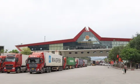 Phát triển kinh tế vùng biên từ luồng xanh nông sản