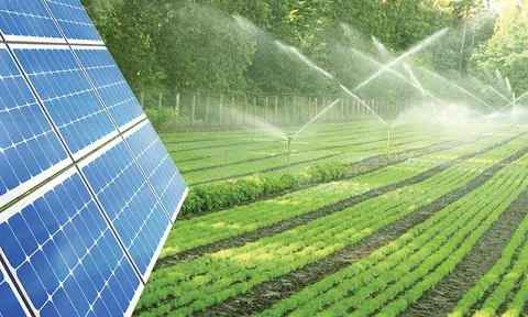 Tiêu chuẩn xanh là “Hộ chiếu” giúp doanh nghiệp Việt ra biển lớn