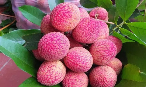 Tăng cường xúc tiến thương mại, nâng cao giá trị nông sản Hưng Yên