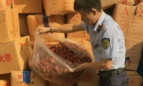 Hà Nội tạm giữ hơn 4 tấn táo đỏ nhập lậu