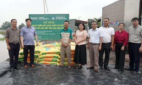 Trung tâm Khuyến nông Quốc gia hỗ trợ cá rô giống mới cho nông dân Hải Dương