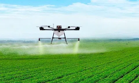 Hà Nội chuẩn bị vận hành chính quyền hai cấp trong lĩnh vực nông nghiệp và môi trường