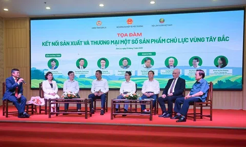 Thúc đẩy xây dựng vùng nguyên liệu chuẩn, nâng cao chuỗi giá trị nông lâm sản Tây Bắc