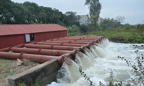 Điện lực Thái Thụy đảm bảo duy trì điện ổn định phục vụ đổ ải