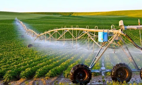 Vai trò của phụ nữ nông thôn trong chuyển đổi xanh