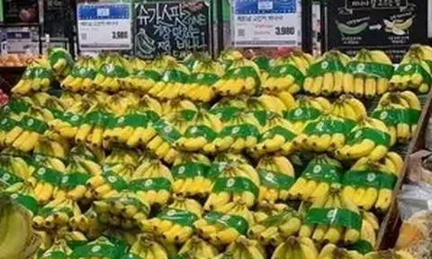 Chuối Việt Nam bứt phá tại Nhật Bản