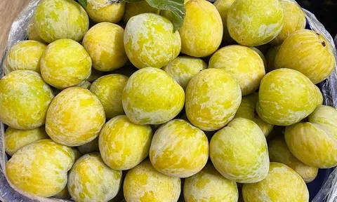 Mận cau Trung Quốc: Rớt giá thảm chỉ sau một tháng