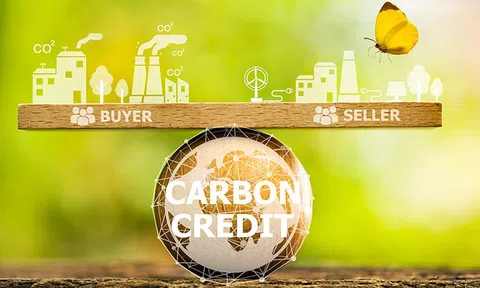 Thí điểm sàn giao dịch carbon 2025: Việt Nam chuẩn bị gì?