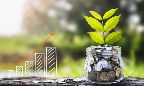 Thị trường trái phiếu xanh – kênh dẫn vốn quan trọng cho mục tiêu Net Zero