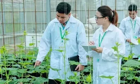 Chính sách "hút" người tài phát triển khoa học công nghệ nông nghiệp: Đãi ngộ gắn với hiệu quả, tạo môi trường cởi mở