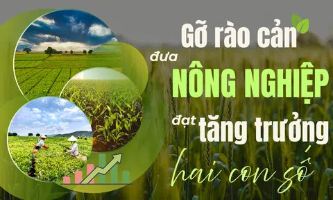 [Emagazine] Gỡ rào cản đưa nông nghiệp đạt tăng trưởng hai con số