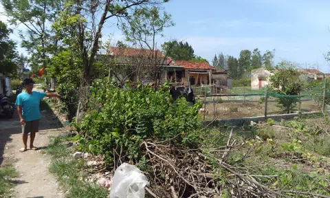 Nước biển xâm thực đe doạ tài sản người dân