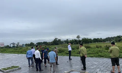 Thanh Hoá: Ngăn chặn tình trạng săn bắt chim trời