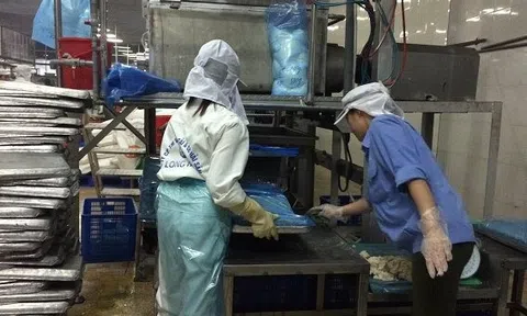 Xử phạt một công ty chế biến hải sản vi phạm vấn đề môi trường