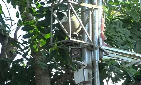 Mô hình 'Camera với an ninh trật tự' phát huy hiệu quả tại Thanh Hoá