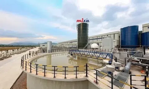 Gây ô nhiễm môi trường, Miza Nghi Sơn bị khởi tố