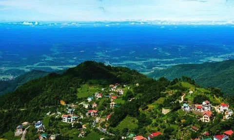 Đại gia Xuân Trường sắp xây khu du lịch trong Vườn quốc gia Tam Đảo