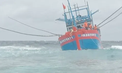 Ứng phó với cơn bão số 5, Thanh Hóa siết chặt các phương tiện ra khơi