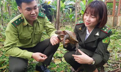 Kiểm lâm có thẩm quyền được điều tra vụ án hình sự ?