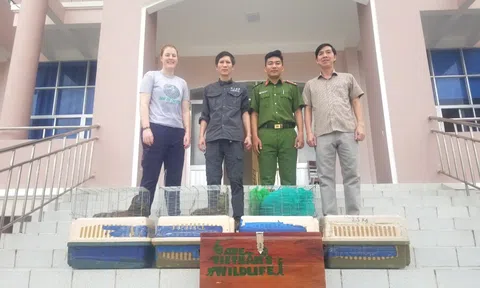 Vườn Quốc gia Cúc Phương tiếp nhận và cứu hộ nhiều động vật quý hiếm