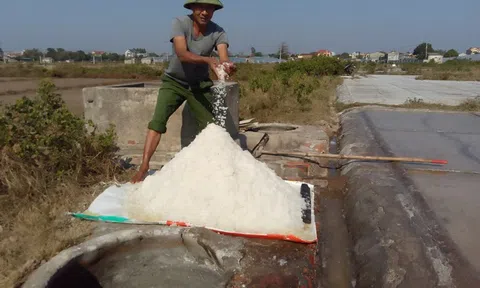 Diêm dân xã Hòa Lộc hồ hởi ra đồng