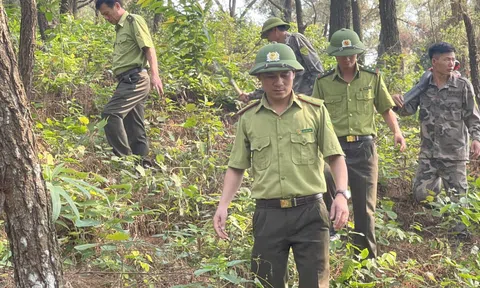 Tăng cường bảo vệ rừng trong dịp Tết Nguyên đán