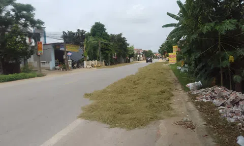 Thanh Hóa: Người dân phơi lúa nếu gây ra hậu quả có thể bị truy cứu trách nhiệm hình sự