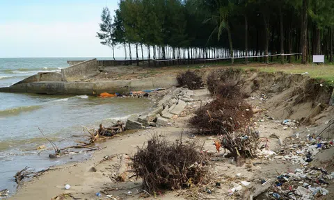 Thanh Hóa: Báo động tình trạng biển xâm thực, chính quyền công bố tình trạng khẩn cấp