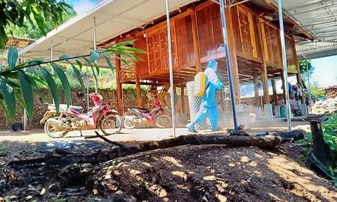 Thanh Hóa: Công bố hết dịch bệnh bạch hầu