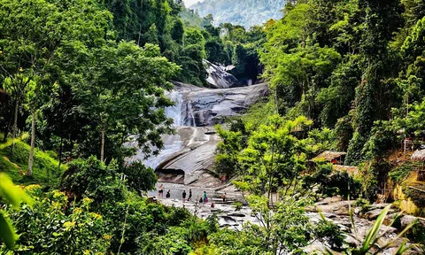 Nghệ An: Huyện Quế Phong chấp thuận chủ trương đầu tư trồng rừng theo mô hình kinh tế tuần hoàn