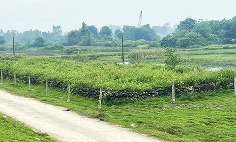 Hà Tĩnh chấp thuận 56 vị trí các bãi đổ vật liệu thải phục vụ thi công Dự án cao tốc Băc - Nam