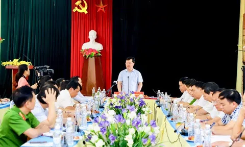 Nghệ An: Nguy cơ từ các "hố tử thần", khẩn cấp di dời dân trong vùng có khả năng sụt lún cao