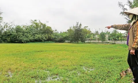 Kế hoạch gieo trồng vụ Hè thu 2022 của Nghệ An có nguy cơ bị chậm tiến độ