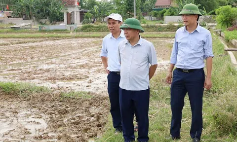 Sở Nông Nghiệp và Phát triển nông thôn Nghệ An kiểm tra tiến độ sản xuất vụ hè thu tại Hưng Nguyên