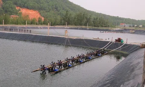 Nghệ An: Tôm chết hàng loạt, người nuôi điêu đứng