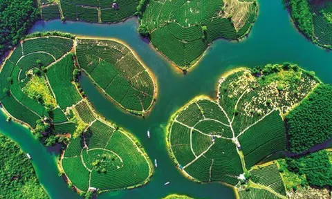 Nghệ An phê duyệt các ngành hàng, sản phẩm được ưu tiên hỗ trợ năm 2022