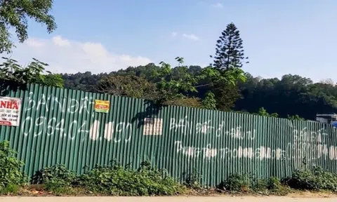 Nghệ An: "Khai tử" hàng loạt dự án chậm tiến độ, nợ tiền thuế đất