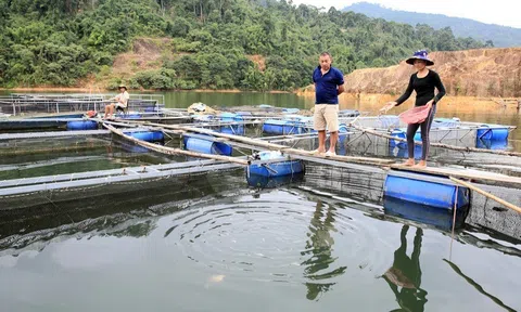 Quế Phong (Nghệ An): Nuối cá trên lòng hồ thủy điện - mô hình kinh tế giúp người dân làm giàu
