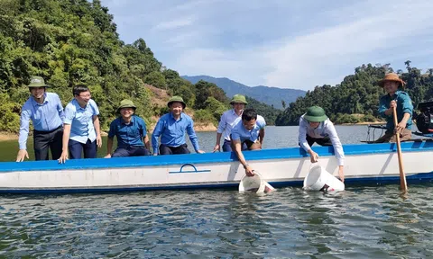 Nghệ An: Thả cá tái tạo nguồn lợi thủy sản trên lòng hồ thủy điện Hủa Na
