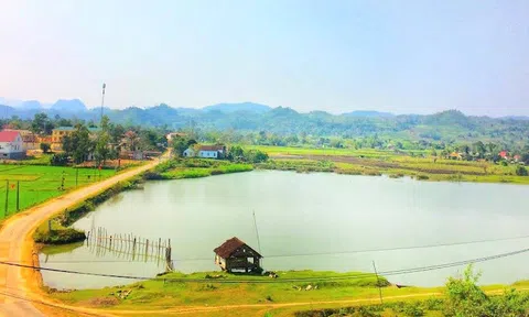 Dự án chăn nuôi lợn với mức đầu tư hơn 125 tỷ đồng tại Nghệ An sắp được khởi công