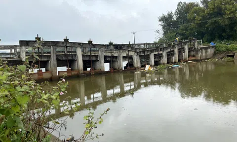Nghệ An: Hàng chục héc ta đất nông nghiệp bị đe dọa do 2 cầu ngăn mặn hư hỏng nặng