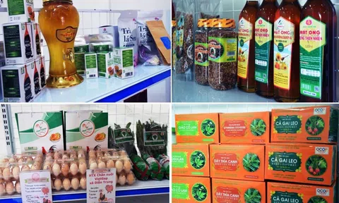 Nghĩa Đàn (Nghệ An): Thêm 9 sản phẩm đạt tiêu chuẩn OCOP 3 sao
